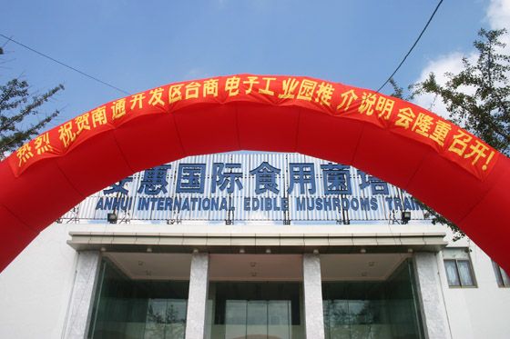 乐天堂官网 乐天堂官网